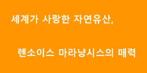 세계가 사랑한 자연유산, 렌소이스 마라냥시스의 매력