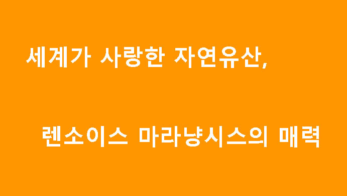세계가 사랑한 자연유산, 렌소이스 마라냥시스의 매력