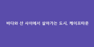 바다와 산 사이에서 살아가는 도시, 케이프타운
