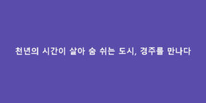 천년의 시간이 살아 숨 쉬는 도시, 경주를 만나다