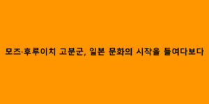 모즈·후루이치 고분군, 일본 문화의 시작을 들여다보다