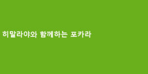 히말라야와 함께하는 포카라