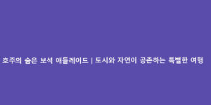 호주의 숨은 보석 애들레이드｜도시와 자연이 공존하는 특별한 여행