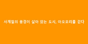사계절의 풍경이 살아 있는 도시, 아오모리를 걷다