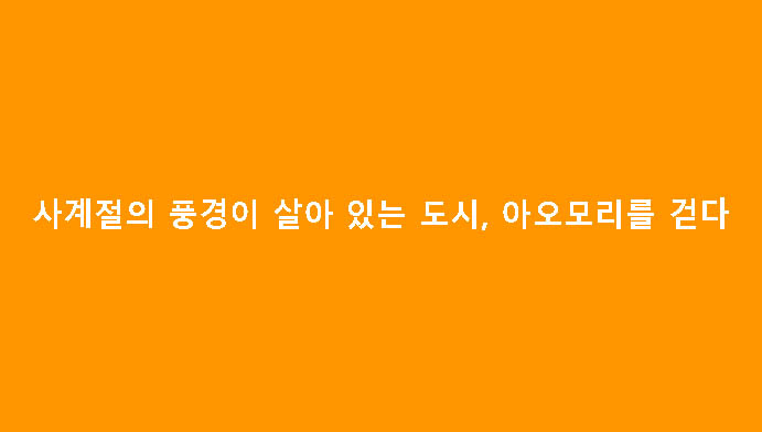 사계절의 풍경이 살아 있는 도시, 아오모리를 걷다