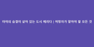 마야의 숨결이 살아 있는 도시 메리다｜여행자가 알아야 할 모든 것