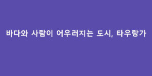 바다와 사람이 어우러지는 도시, 타우랑가