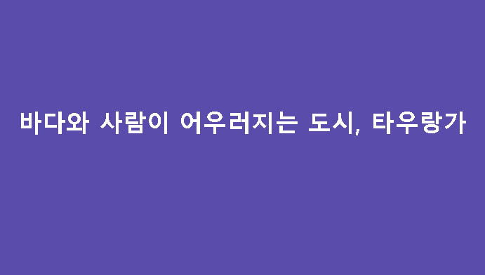 바다와 사람이 어우러지는 도시, 타우랑가